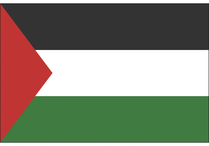 

Palestine National Flag 90*150cm/60*90cm/15*21cm/30*45cm Car Flag 3x5ft Polyester Printing Banners