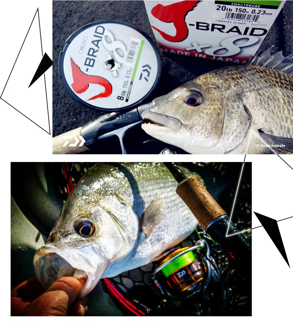 Daiwa J-BRAID 8A 150 м зеленый цвет 8 плетеная леска из мононити 10-60 фунтов Сделано в Японии
