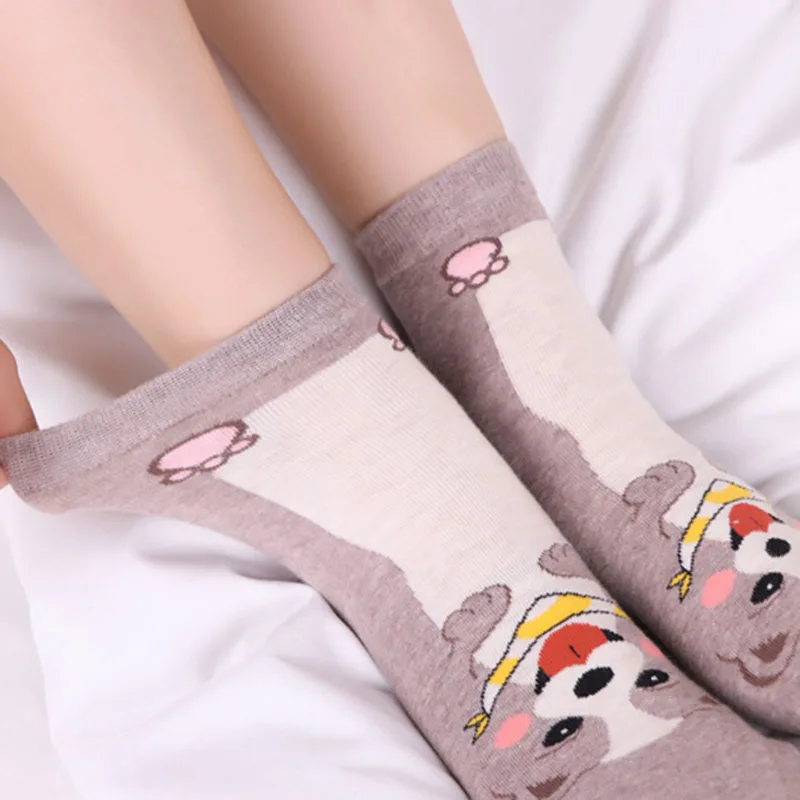 [WPLOIKJD] корейские милые семейные женские носки с животными хипстерские Креативные - Фото №1