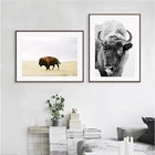 Фотография буйвола, современные настенные картины, печать на холсте, фотография с изображением зимних животных, плакат, декор для домашней комнаты