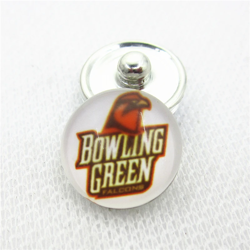 10 шт./лот US Bowling Green Falcons оснастки кнопки Подвески DIY 18 мм спортивные защелки