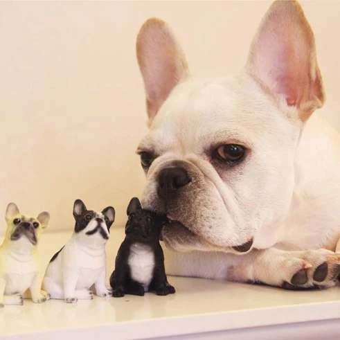 Статуя бюст ESTARTEK в виде французского бульдога из натуральных животных коллекция