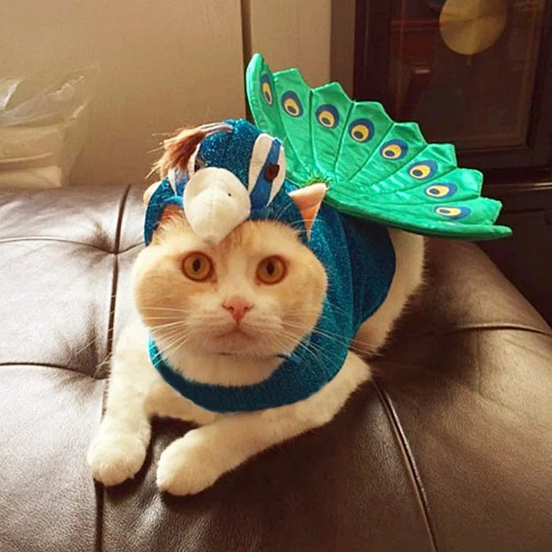 Хэллоуин роскошный синий павлин pet костюм для кошки, собаки Косплей смешная маленькая собака домашнее животное кошка платье куртка пальто одежда кошка шапка шляпа