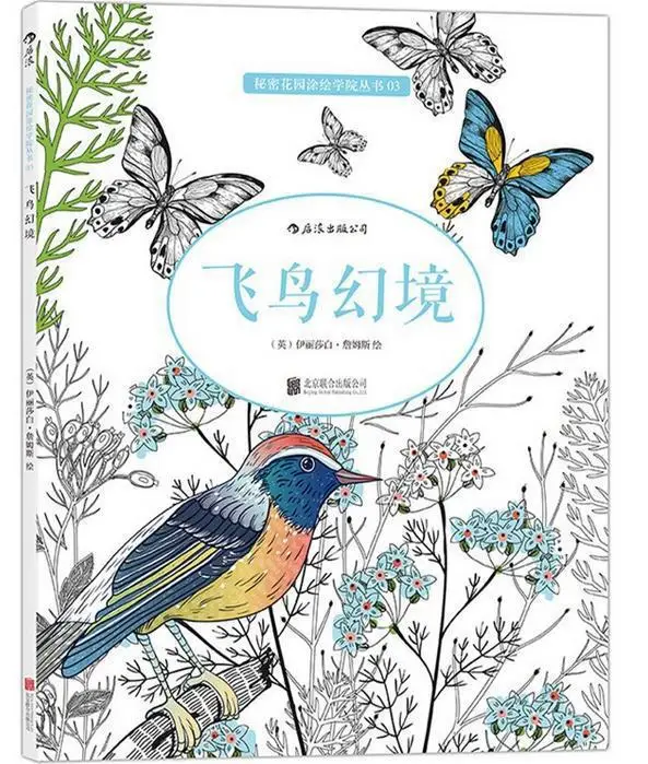 

Книга-раскраска «птица и снов», книга для рисования в стиле секретного сада, для снятия стресса и уничтожения времени, граффити
