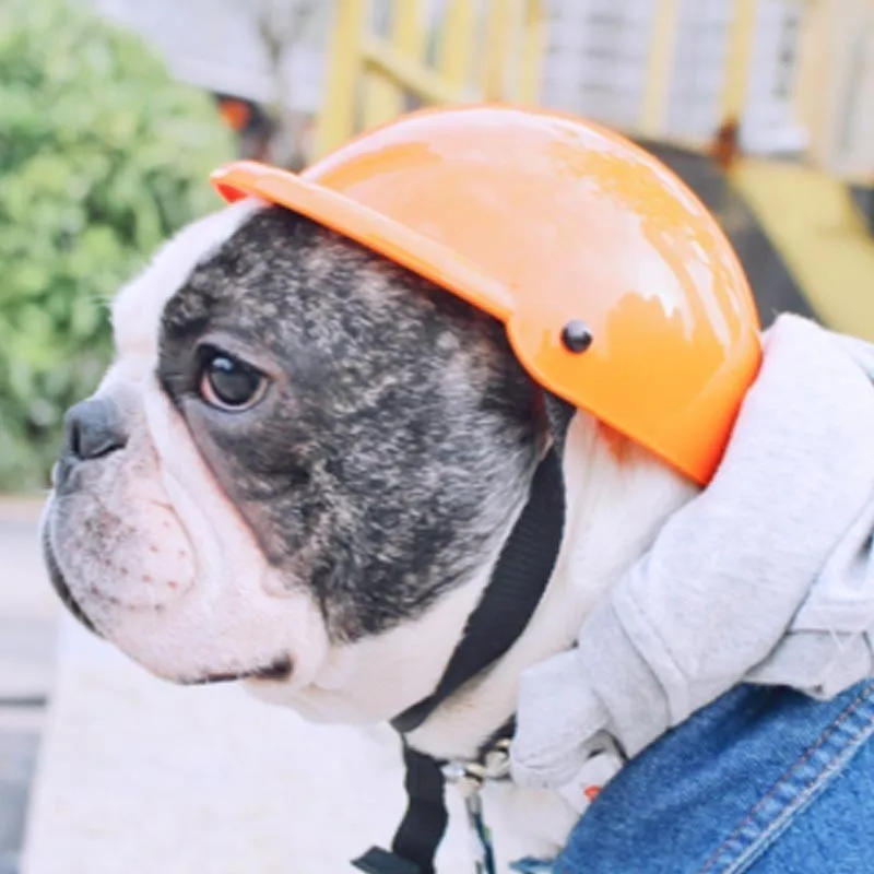 Чехол для шлема с солнцезащитными очками домашних животных|dog helmet|cap dogdog hat cap |