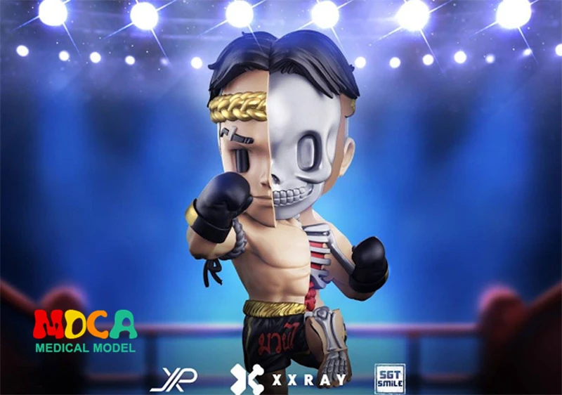 

Blue boxer 4D XXRAY master Mighty Jaxx Jason Freeny anatomy Cartoon ornament