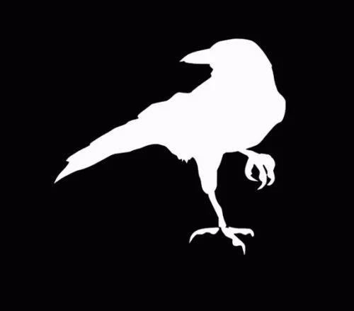

Crow Raven Blackbird Decal Window Sticker 10x9.5cm