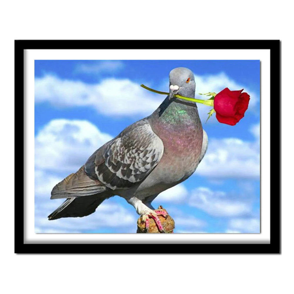 5D DIY Алмазная картина птица голубь полный круглый мозаичная инкрустация в виде