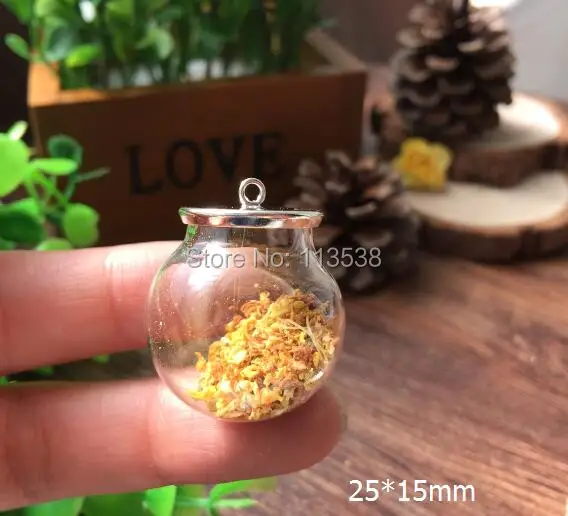 Новый 50 компл./лот 25 мм Глобус стеклянная крышка & Серебряная бутылка DIY флакон