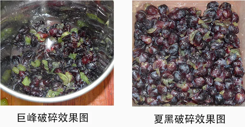 Новинка 2 ролика электрическая дробилка винограда дробильная машина