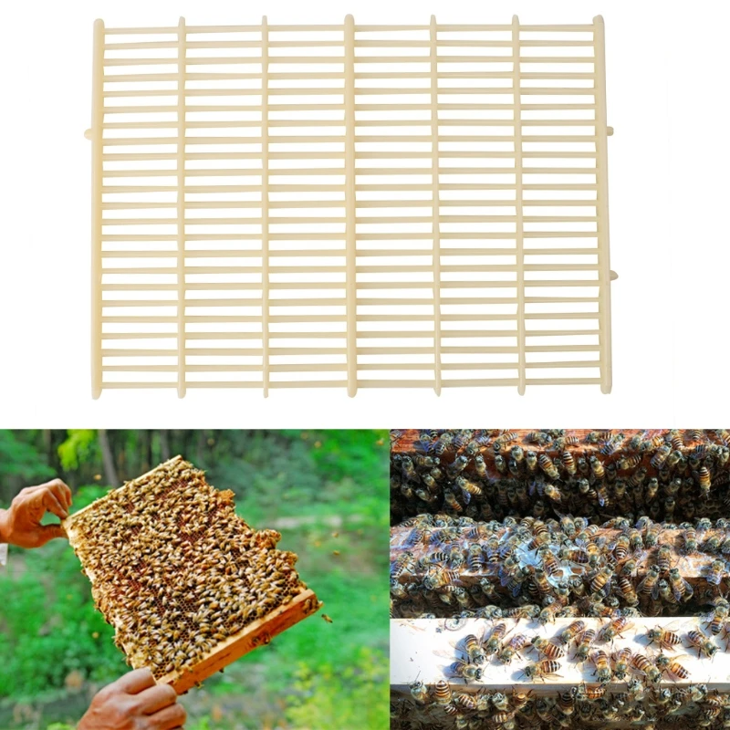 Пчеловодство пчела королева эксклюзивная сетка инструмент оборудование Apiculture