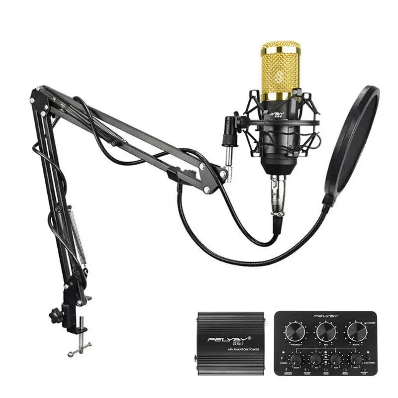 BL Power sound card FELYBY многофункциональная звуковая карта, профессиональный конденсаторный микрофон bm800 для компьютера, караоке, сетевой микрофон для подкастов - Цвет: BL Power sound card