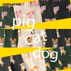 COSPLACOOL милые животные, поросенокКотмопс, забавные Женские носочки год, креативный дизайн Harajuku Kawaii, соккер, Япония, Reto Calcetines Mujer