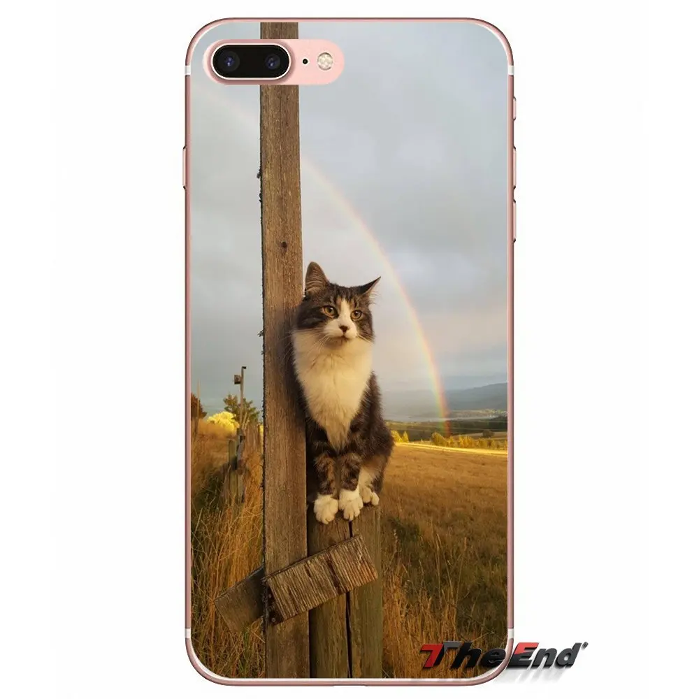 Кошачья одежда очки Забавный силикагель ТПУ чехол для samsung Galaxy S2 S3 S4 S5 MINI S6 S7 edge S8