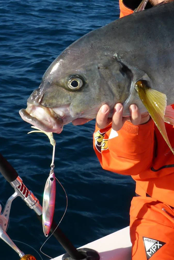 Блесна для рыбной ловли на крючок 60 г 80 100 120 150 г|saltwater lures|fishing lureslow jig |