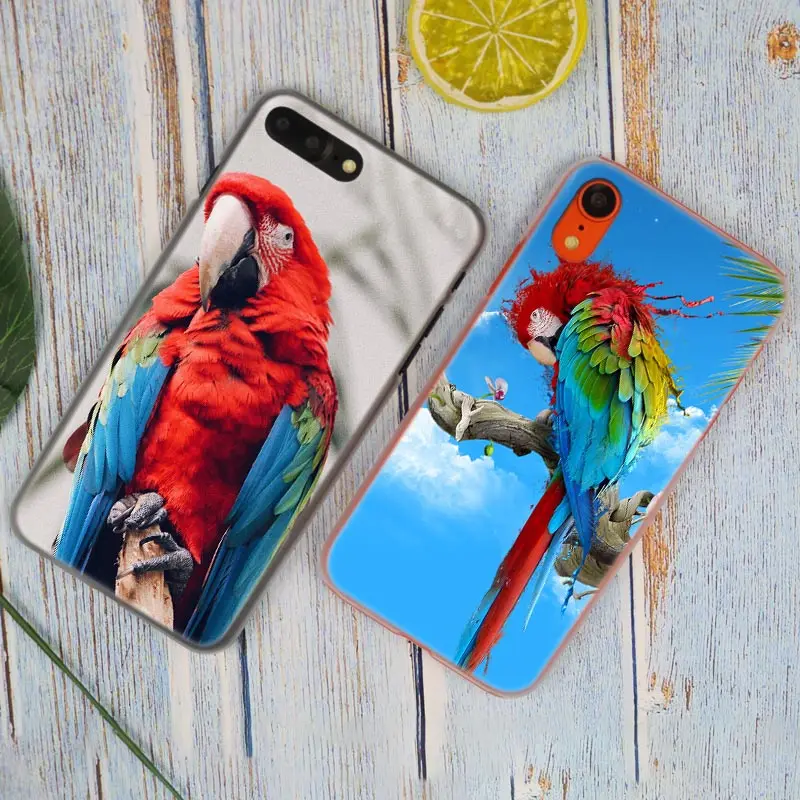 Модный прозрачный жесткий чехол для телефона с рисунком животного попугая iPhone X XS