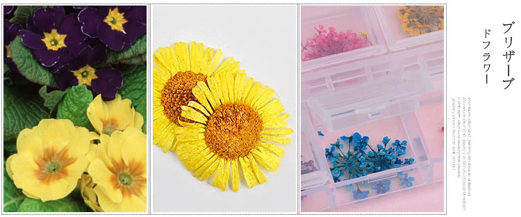 12 цветов сушеные цветы украшения для ногтей 3d натуральные ромашки Гипсофилы консервированные сухие цветы DIY наклейки маникюрные аксессуары