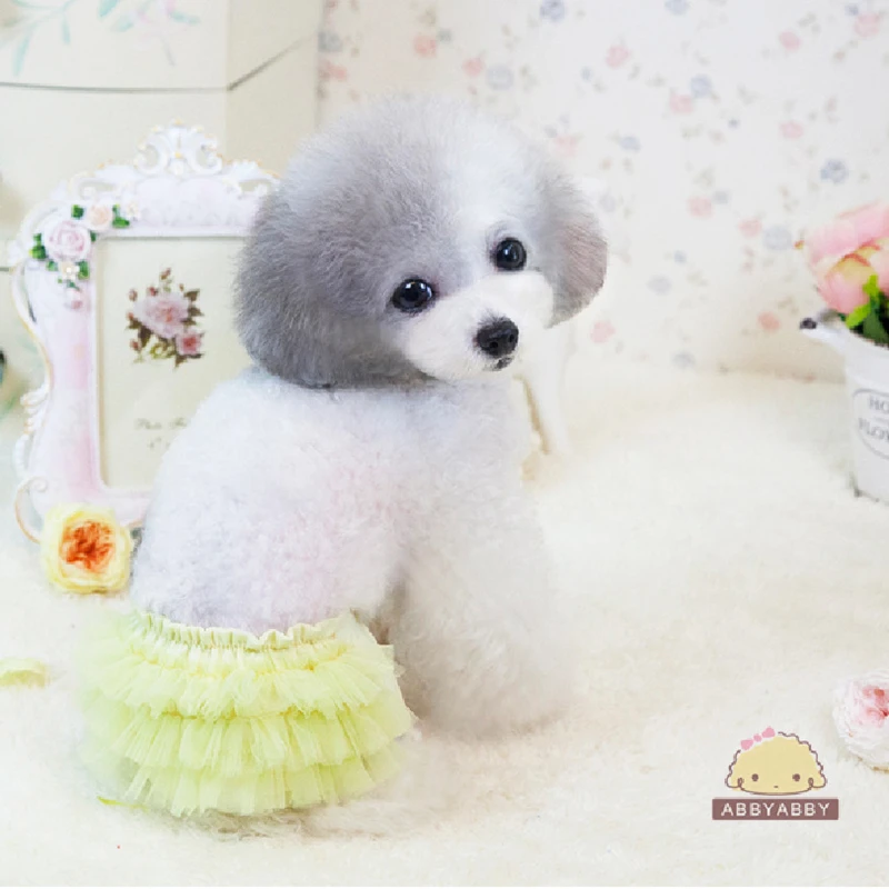 Собачий санитарный брюки женские Pet физиологические Одежда Нижнее белье