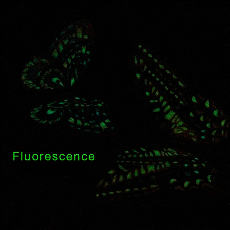 12 шт./лот двойные искусственные 3d бабочки с флуоресцентным светящимся магнитом