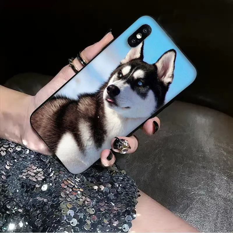 Babaite Animal dog husky Soft Silicone black Phone Case for Apple iPhone 8 7 6 6S Plus X XS MAX 5 5S SE XR Cover | Мобильные
