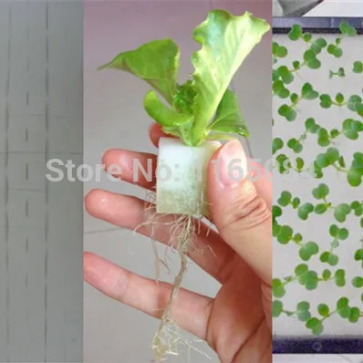 Садовые принадлежности семена гидропоники кубики пены для овощей горшок запуска