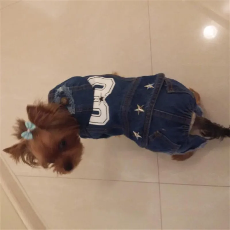 Bigeyedog весенняя одежда для собаки джинсовый комбинезон комбинезоны модная одежда для домашних животных пальто для собак одежда с капюшоном