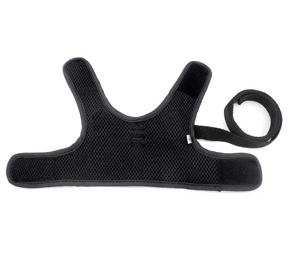 2017 маленькие собаки кошки Жилет Жгут с полицейской буквой поводок Комплект