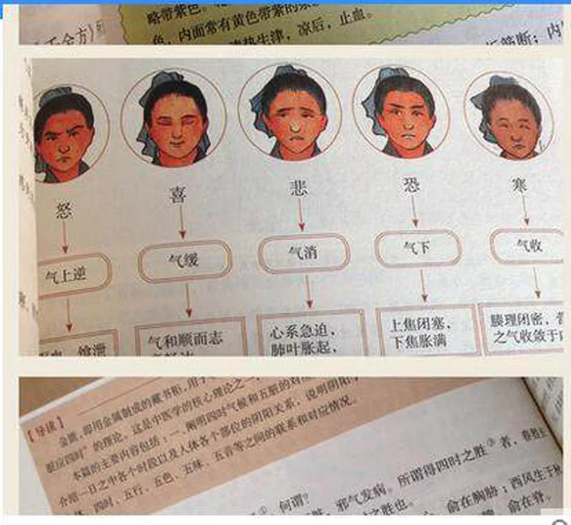 3 шт. иллюстрация китайской медицины с переводным сборником материалов Medica Ben cao