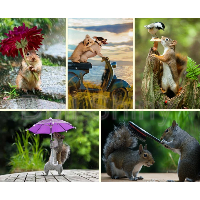 

5D DIY Diamond Painting Animals squirrel sweet,Sunflower Motorcycle dog couple Mosaic Embroidery Cross stitch Crafts Decor Gifts