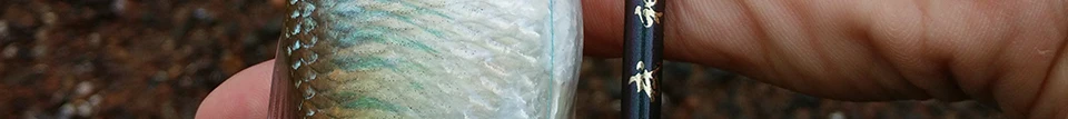 TSURINOYA 2Secs 1,4 m спиннинговое удилище UL 1-6g/2-6LB пробковая ручка углеродное спиннинговое удилище Vara De Pesca Olta Cana De Pescar Peche