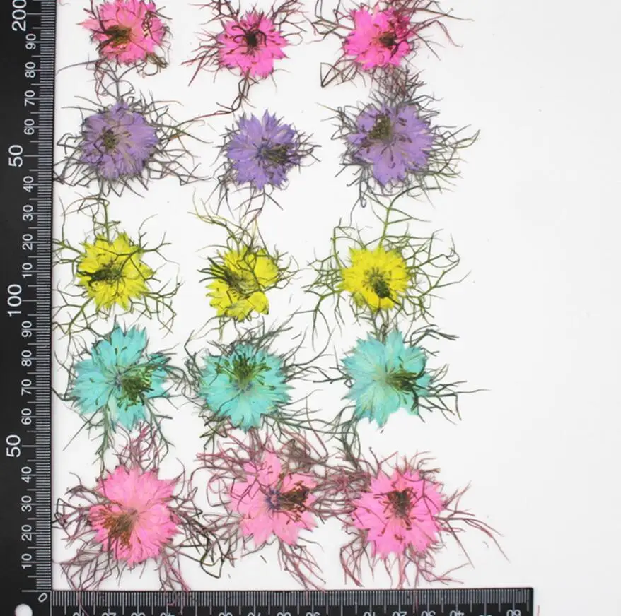 120 шт. женский цветочный гербарий для изготовления ювелирных изделий | Дом и сад