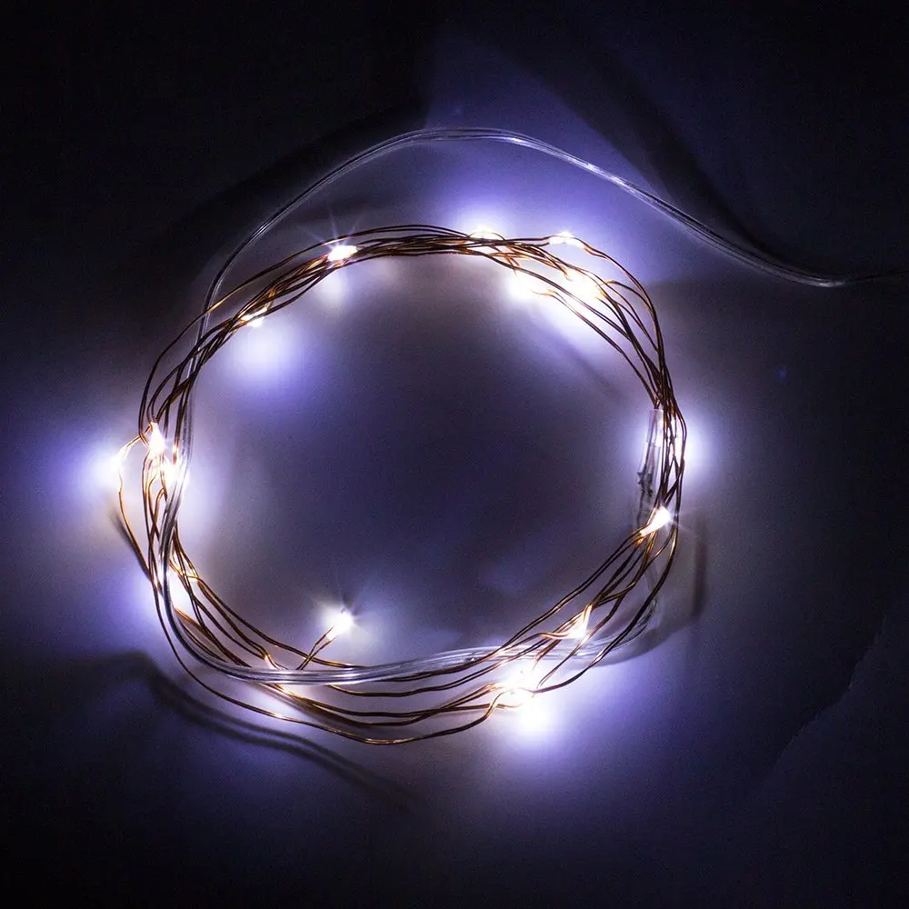 

Packing Good 10M 100 Led 3AA Battery Powered Outdoor Led Copper Wire String Lights For Christmas Festival Wedding Party Decor