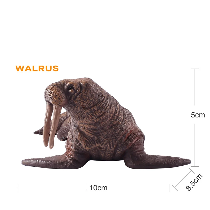 Walrus Модель морского животного твердых реальная жизнь Акула кит дельфин игрушки детей раннего образования Развивающие игрушки для детей подарок GF139 - Цвет: Walrus