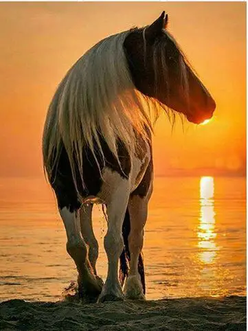 

5D алмазная живопись «сделай сам», вышивка крестиком, лошадь, закат, пейзаж, квадратные Стразы, алмазная вышивка, наклейки с животными, рукоде...