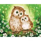 Cioioil-W580 уютно сова картина по номерам Современный домашний декор для Гостиная ручной уникальные подарки, Настенный декор