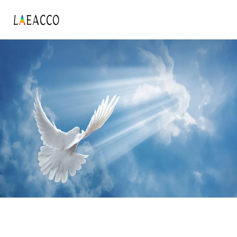 Laeacco фотофоны голубь голубое небо облако Блестящий Солнечный свет вечерние