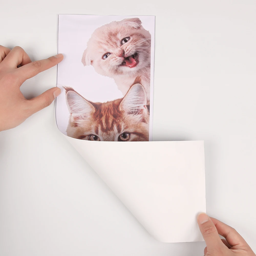 3D наклейки на стену с изображением собак и кошек забавные виниловые дверь окно