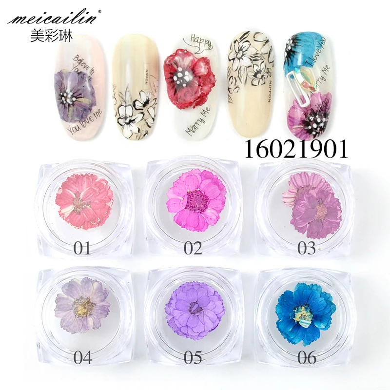 Летние сухие цветы 6 коробок/комплект украшения для ногтей натуральные Цветочные