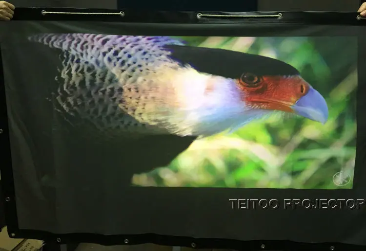 Задний экран 200 дюймов 4:3 ПВХ настенный есть черные границы для домашнего