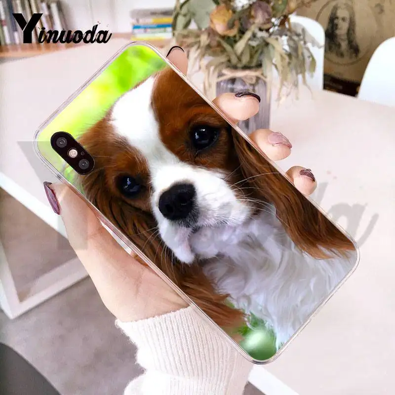 Прозрачный чехол Yinuoda для iphone 7 6 X iPhone 8 6S Plus 10 5 5S SE 5C XS XR|Бамперы| |