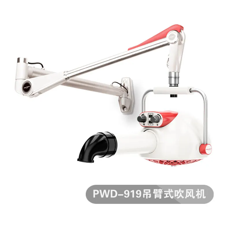 PWD-919 1800 Вт PSD-918 PWD-919 для пожилых животных Магазин Собака Кошка фен робот уход за шерстью настенный вертикальный стенд держатель Подставка Полка - Цвет: PWD-919