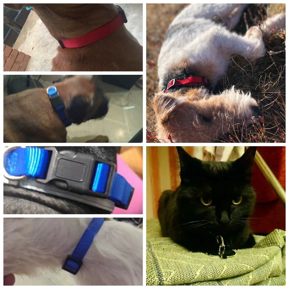 Нейлоновый ошейник для собаки собак кошек щенков Breakaway Pet маленьких и крупных