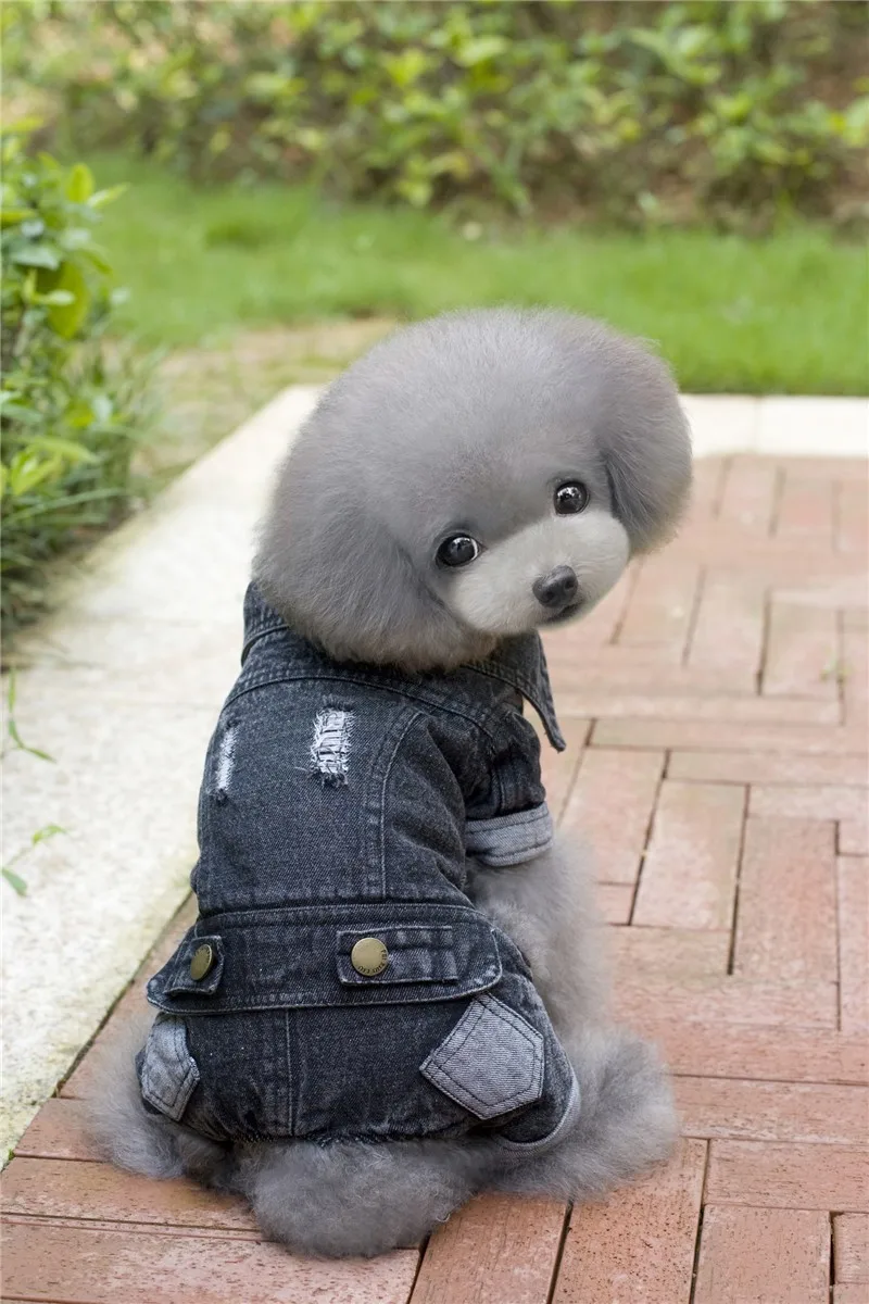 E12 модные теплые джинсы для собак утолщенная одежда домашних животных с четырьмя