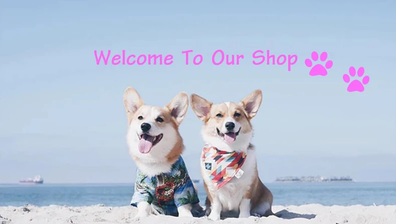 Pet костюм забавный кот Racer стоя костюм Косплэй одежда для маленький средний Товары для собак Щенок партия Хэллоуин куртка пальто