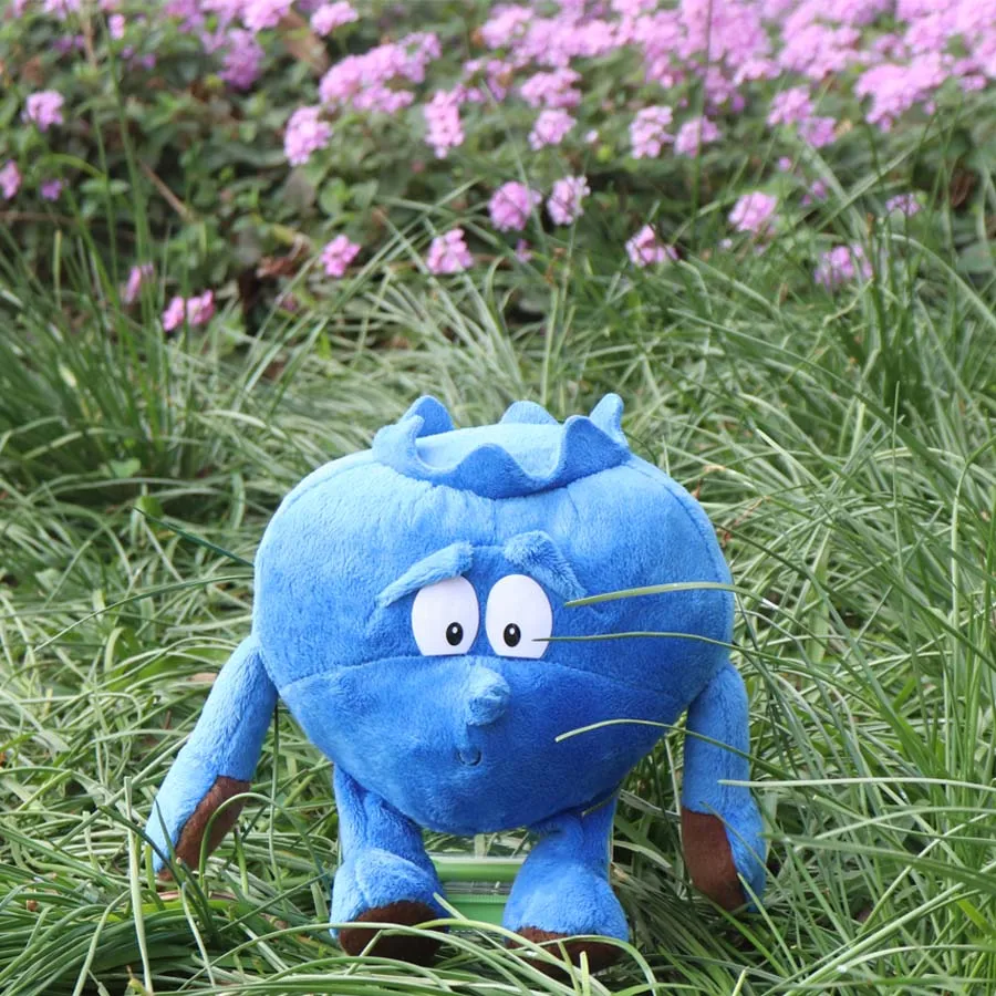 Новинка 2018 фрукты овощи капуста гриб черника ягоды 9 дюймов мягкая плюшевая кукла