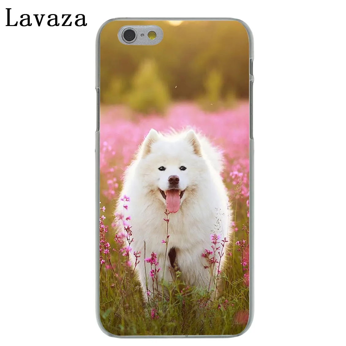 6 Твердый чехол для телефона Lavaza с милой самоедской собакой для iPhone XR X 11 Pro XS Max 7 8 6 6S 5 5S SE 4S 4 10 - Цвет: 6