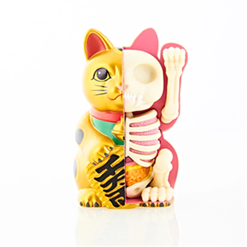 4D игрушка для сборки кошек с золотыми деньгами интеллектуальная модель анатомии
