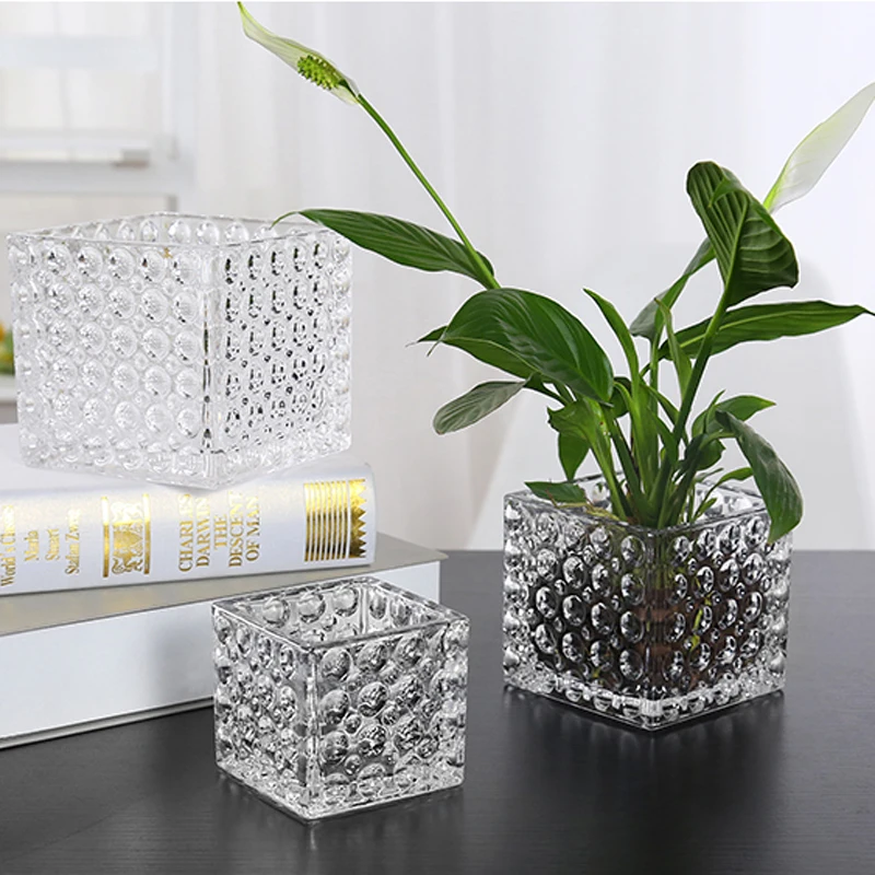 Горшки Для Орхидей Прозрачные Стеклянные Купить