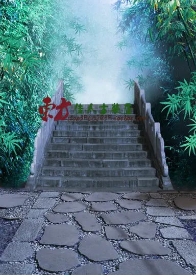 PP background 3x5m Kong Que Ling синий эстетический этнический Модный классический танцевальный костюм Мяо серебряная шляпа синий женский костюм - Цвет: PP background 3x5m