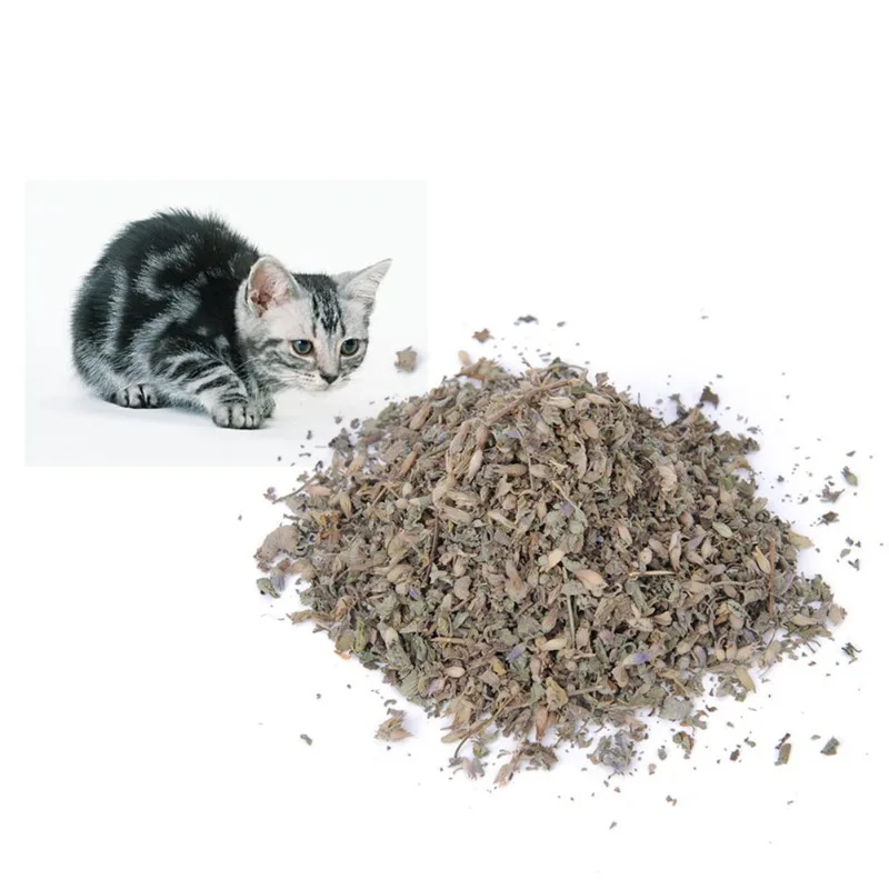 Свежий органический сушеный цветок кошачьей мяты Nepeta Cataria 40 мл для кошек